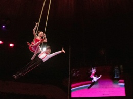 В Днепровском цирке состоялся гала-концерт победителей фестиваля "Яркая Арена"