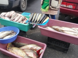 В Мелитополе продают рыбу, обработанную дустом