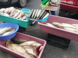Поберегись! В Мелитополе стихийщики "кормят" покупателей рыбой с дустом