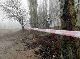 В Николаеве подготавливают к реконструкции будущий сквер Матери: сносят и обрезают аварийные деревья