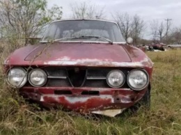 В Техасе было обнаружено поле брошенных Alfa Romeo (ФОТО)