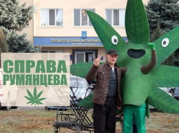 Суд впервые оправдал украинца за выращивание конопли: им оказался житель Николаевщины
