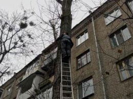 Харьковского скалолаза пришлось задействовать в необычной спасательной операции (фото)