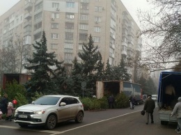 В Николаеве елками торгуют прямо на проезжей части - полиция не реагирует (ФОТО)