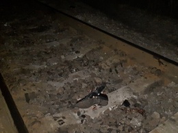 Под Днепром поезд разорвал мужчину на части