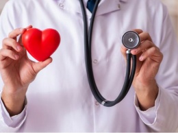 Личный опыт кардиолога: как без лекарств поддержать здоровье сердца