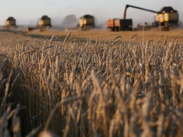 Украина увеличила экспорт агропродукции до рекордных 20 миллиардов долларов
