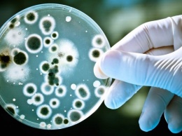 В человеческих фекалиях найдены 79 кандидатов на новые антибиотики