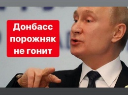 Пресс-конференция Путина: во всем виноват Порошенко, решение Стокгольмского суда политическое, Донбасс поряжник не гонит (ФОТО)