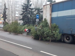 Спасатели дали советы по использованию пиротехники и безопасной установке елки (ВИДЕО)