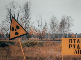 Горячая зима сводит сума животных в Чернобыльской зоне: фото впечатляют