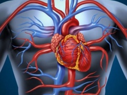 Симптомы, которые сигналят о патологических изменениях в сосудах и артериях
