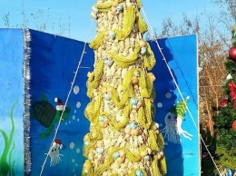 Под Одессой установили новогоднюю красавицу из хищных моллюсков (фото)