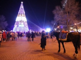 В Запорожье засияла главная елка города (ФОТО)