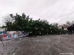 "Елкопад" в России: в ряде городов РФ ветер повалил новогодние елки