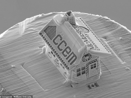 Канадец создал самый крошечный в мире «пряничный домик» с помощью электронного микроскопа