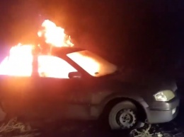 "Евробляхер" в знак протеста сожгла свой автомобиль и обратилась к Зеленскому (видео)