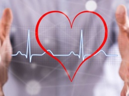 Стало известно, как уберечь здоровье сердца