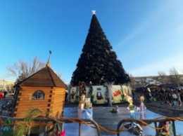 Запорожская елка попала в ТОП самых красивых в стране, - ФОТО