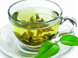 Что полезного в зеленом чае
