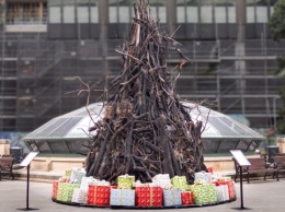 В Сиднее установили обгоревшую рождественскую елку как символ лесных пожаров