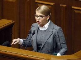 Мушак набросился на Тимошенко с обвинениями из-за закона о рынке земли: "Двойные стандарты"