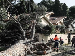В Европе возросло число жертв урагана