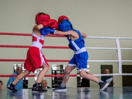 Больше 200 юных боксеров соревновались за кубок «Дюльбер - 2019» в Ялте