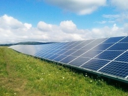 В мэрии отдали 44 гектара земли без конкурса под солнечные электростанции