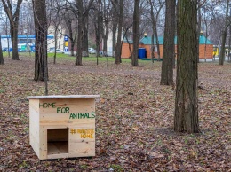 В Днепре молодые люди строят будки, чтобы спасти бездомных собак
