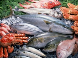 Вызывает рак: ученые ошарашили новым открытием о блюдах из рыбы