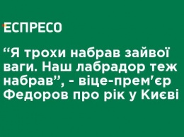 "Я немного набрал лишнего веса. Наш лабрадор тоже набрал ", - вице-премьер Федоров о годе в Киеве