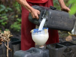 На Филиппинах из-за употребления кокосового вина погибли 8 человек