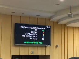 Несмотря на замечания о приоритетах, депутатское большинство в Кривом Роге поддержало бюджет 2020, - ФОТО