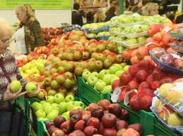 Сало по 35, картошка по 13, помидоры по 30. Запорожцев порадовали цены на рынке (Видео)