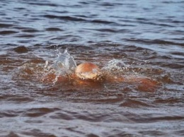 В Харькове пьяный мужчина полез купаться в речку и чуть не утонул