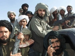 В Афганистане талибы похитили почти 30 активистов движения за мир