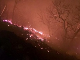 Турция страдает от стихий: на севере - лесные пожары, на юге - наводнения