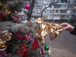 В запорожском дворе осветили новогоднюю елку лазером - фото