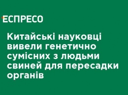 Китайские ученые вывели генетически совместимых с людьми свиней для пересадки органов