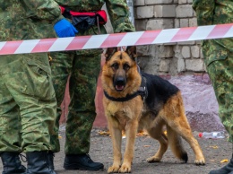 Как полиция и спасатели будут охранять порядок на Новый Год