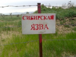 В Ставропольском крае женщина заболела сибирской язвой