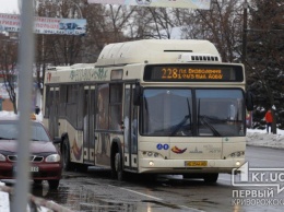 График движения автобусного маршрута №228 и №228-А в Кривом Роге в выходные и будние дни