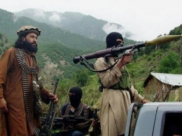 «Талибан» заявил, что согласен на временное прекращение огня в Афганистане