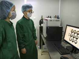 В Китае на три года осудили генетика за изменение ДНК эмбрионов