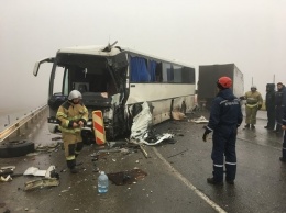 Водитель грузовика погиб, четверо пострадали: стали известны подробности утреннего ДТП с автобусом на "Тавриде"