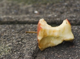 Машины плохо виляют на урожай яблок
