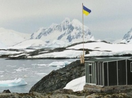 Ученые антарктической станции поздравили украинцев с Новым годом (ВИДЕО)
