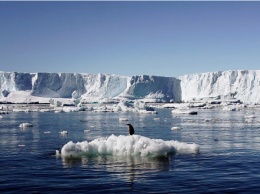 Ученые антарктической станции записали видеообращение
