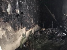 Загорелась елка: мать с ребенком в Харькове чуть не погибли на пожаре